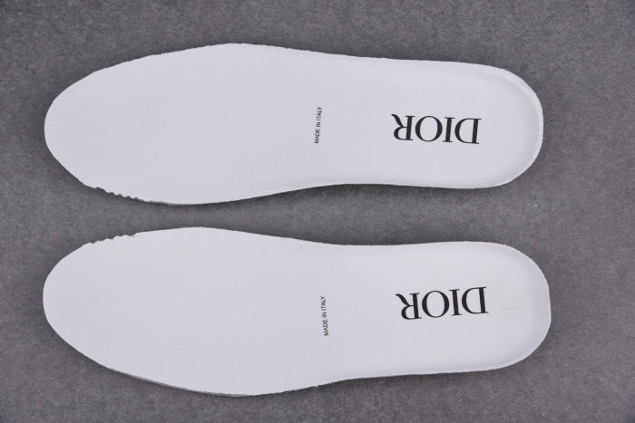 DR B23 Low Top Oblique Sneaker