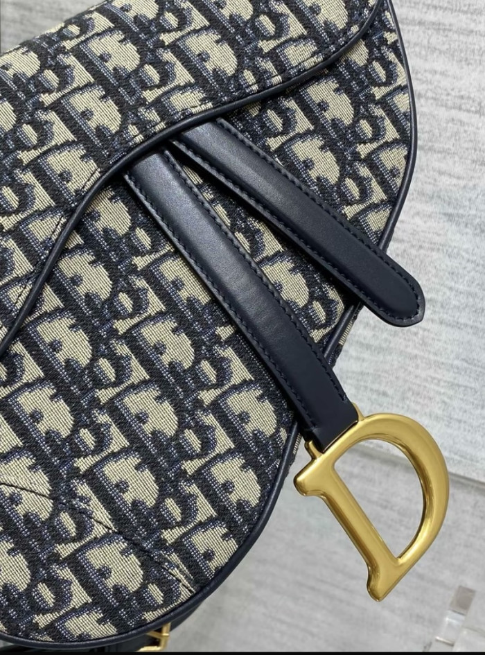 Dior saddle Oblique