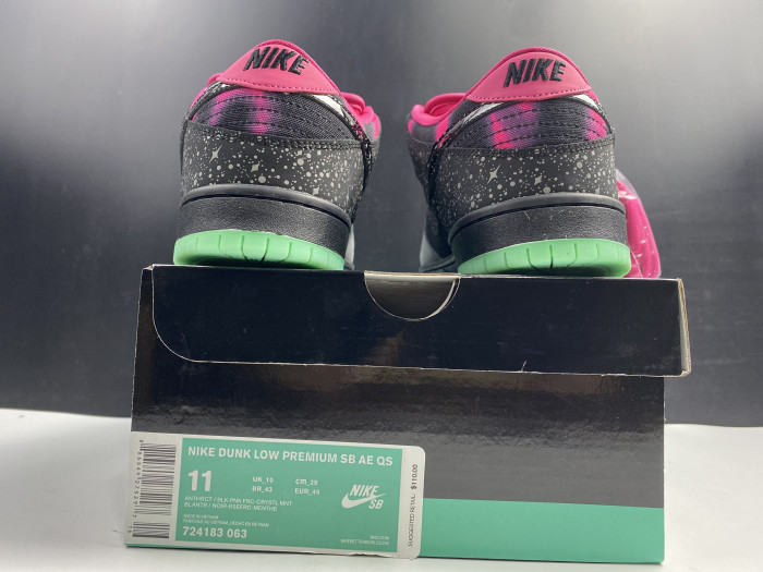 nike dunk sb low premier "N0*Hern lights"724183-063