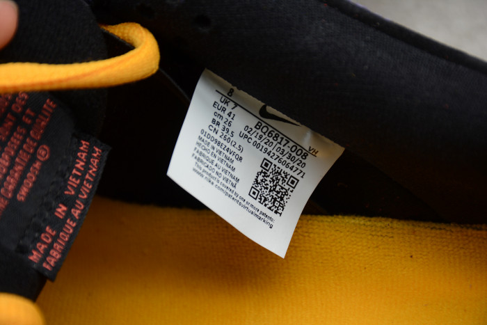 NIKE SB DUNK LOW “ACG TERRA” BQ6817-008